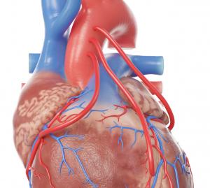 Coronaropathie - Chirurgiens Cardiaques Caen